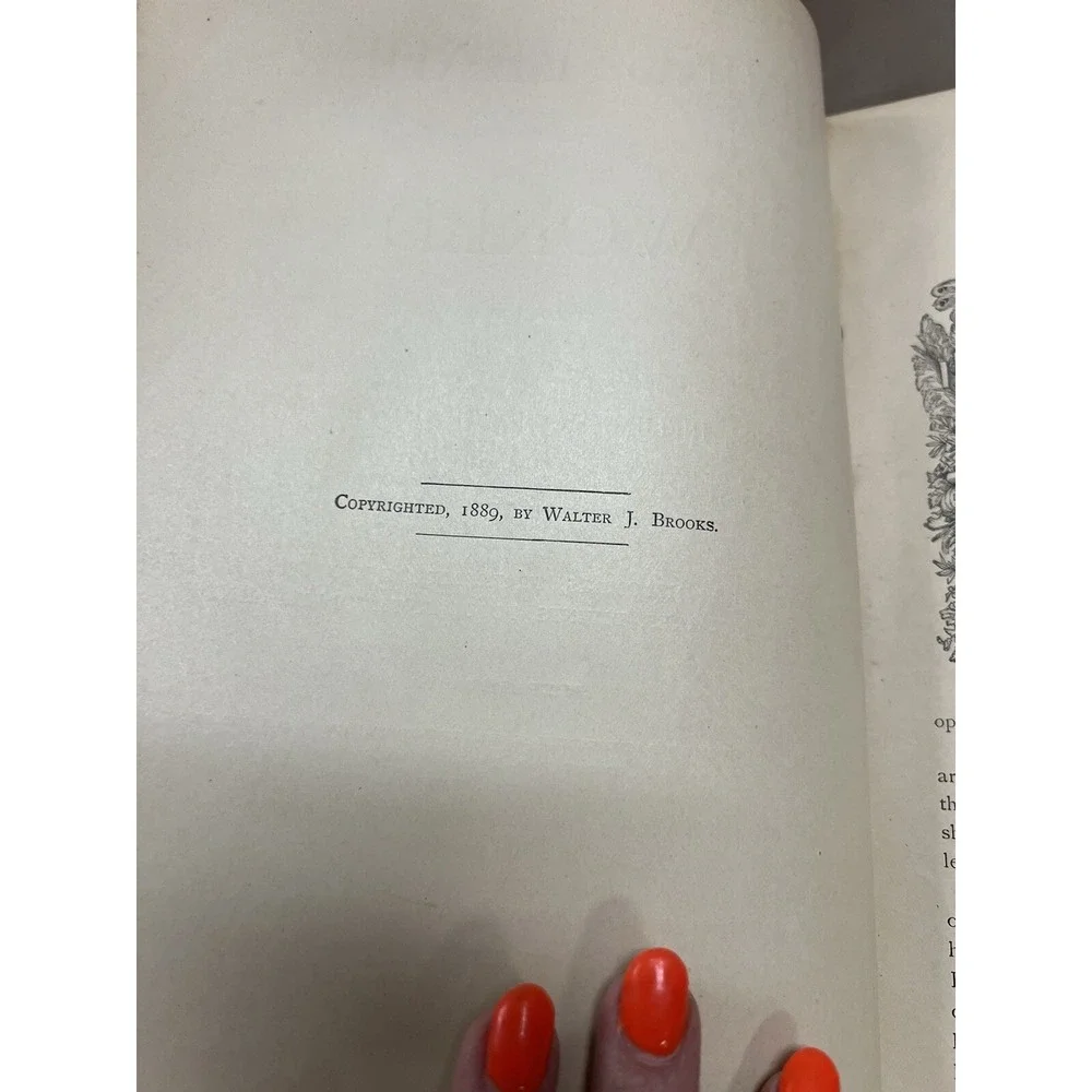 LIVING LEADERS OF THE WORLD: COMPROMISING.‎ 1889, BY WALTER J. BROOKS (858)